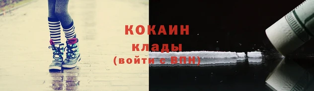 стафф Беломорск