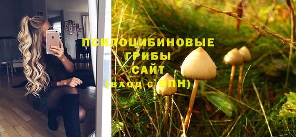стафф Беломорск