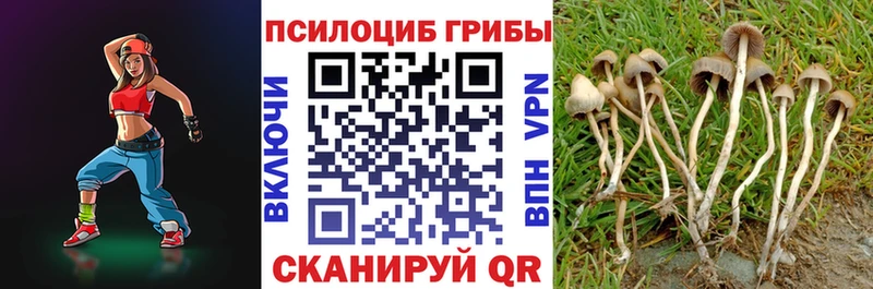 сколько стоит  Высоковск  Псилоцибиновые грибы GOLDEN TEACHER 