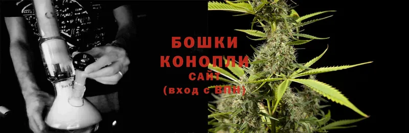 наркотики  OMG   Каннабис Amnesia  Высоковск 